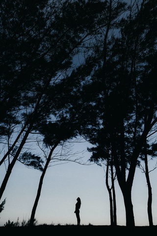 Woman's silhouette under trees